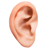 Picture of one ear.